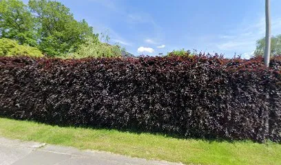 Image de Condroz Toiture